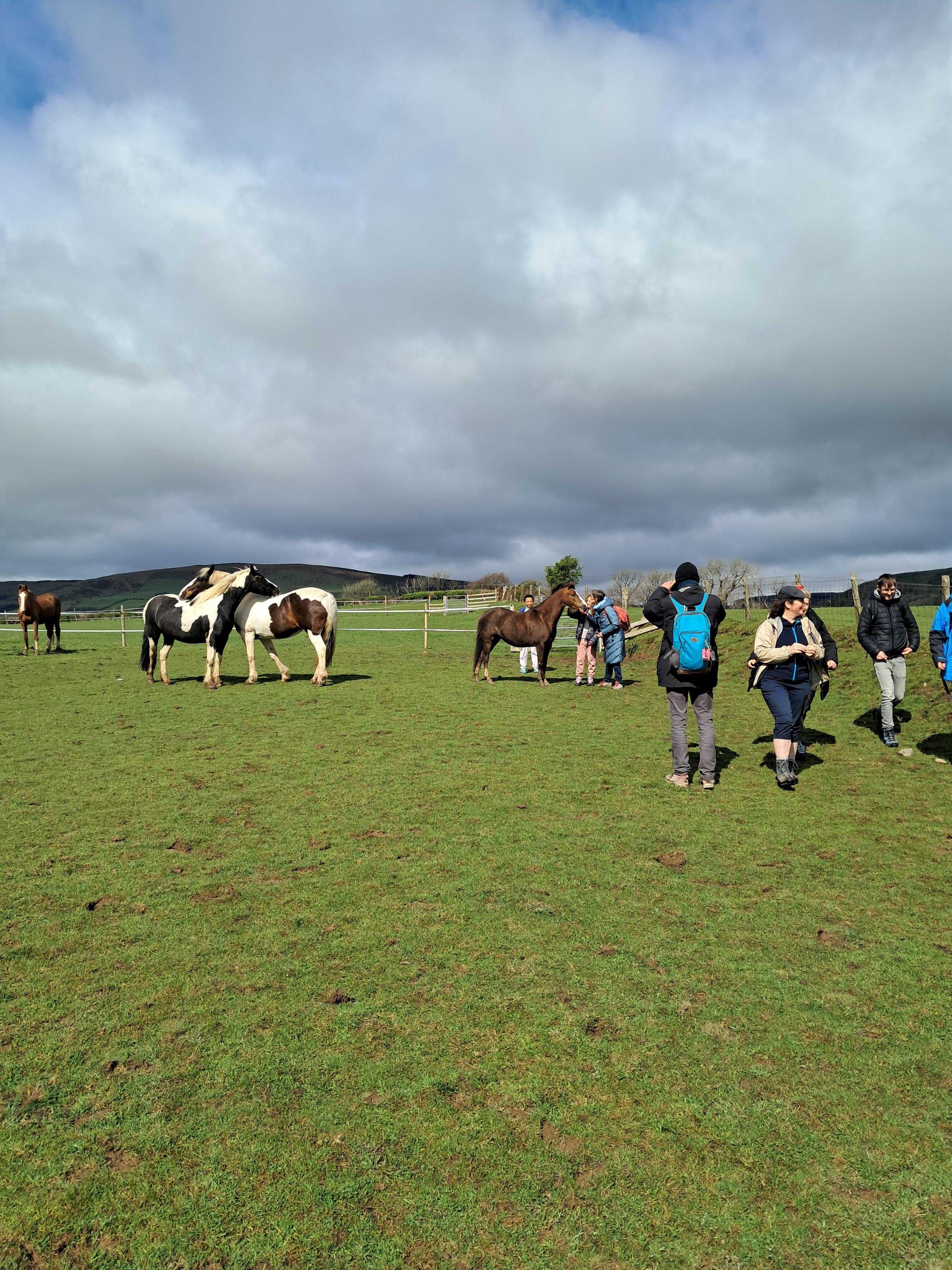 Le club de randonnée : à travers champs et bisous aux chevaux