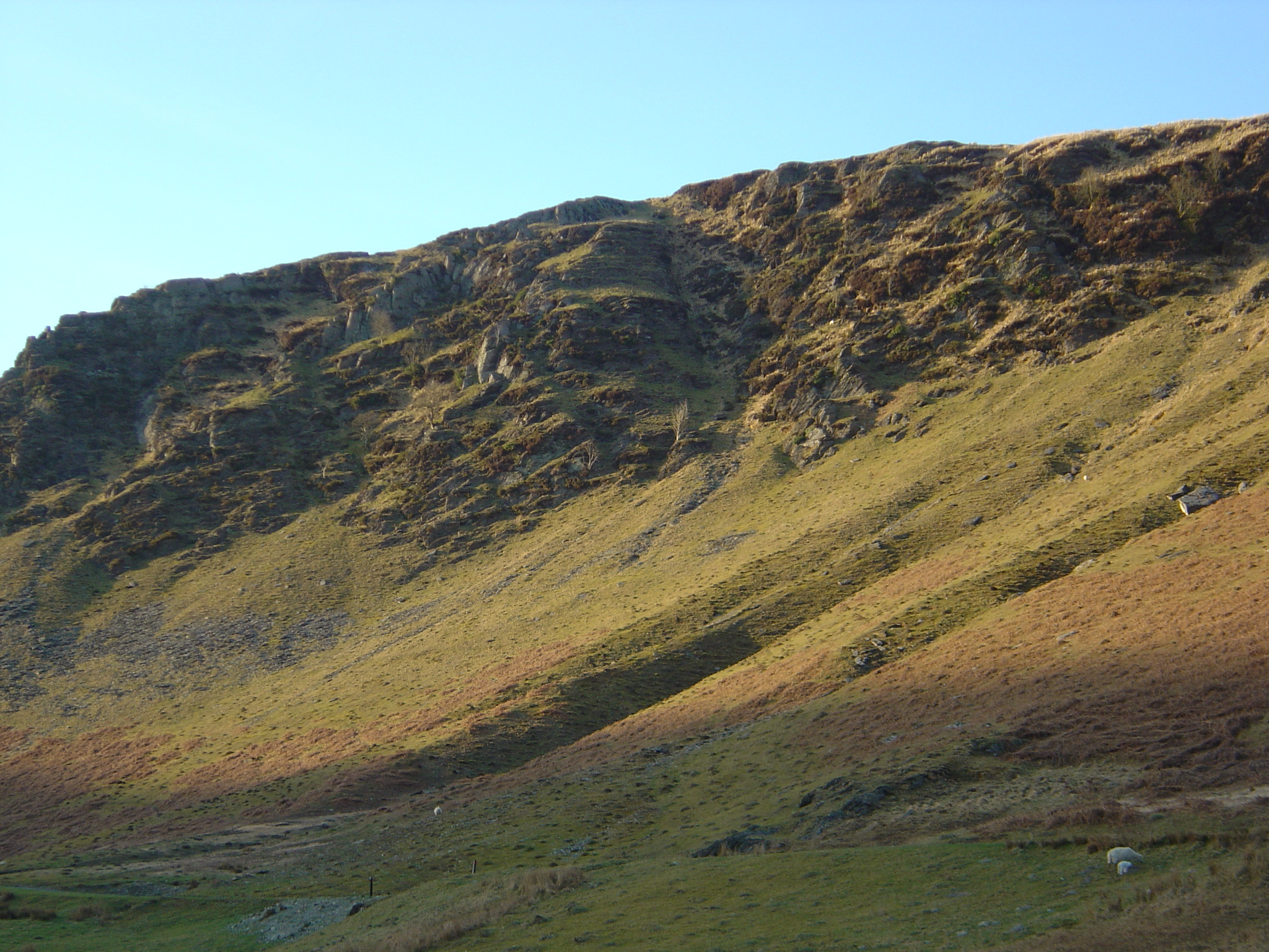 La paix au cœur de la beauté ("Peace among beauty")