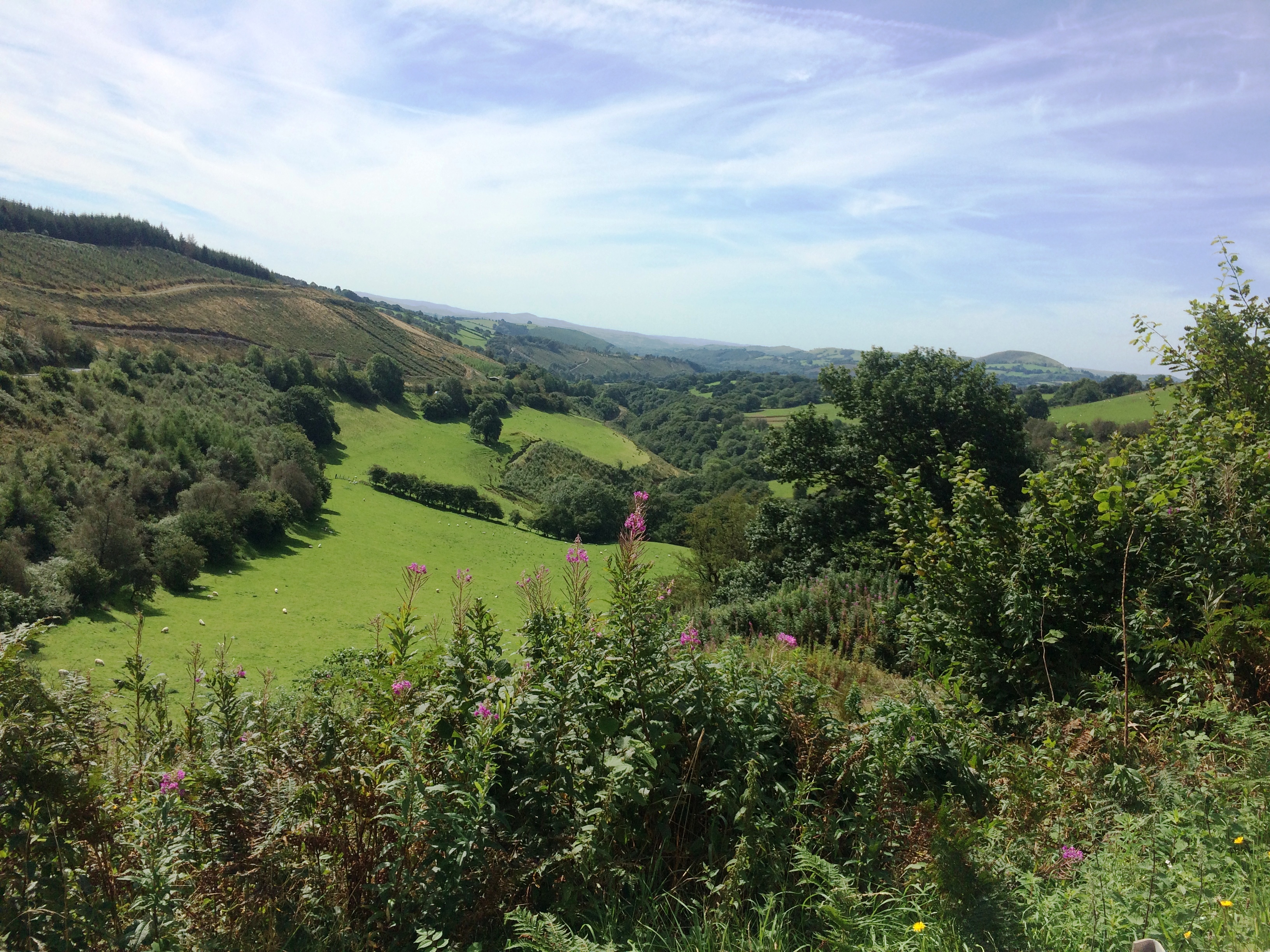 La devise de Llanwrtyd Wells : "Peace among beauty"