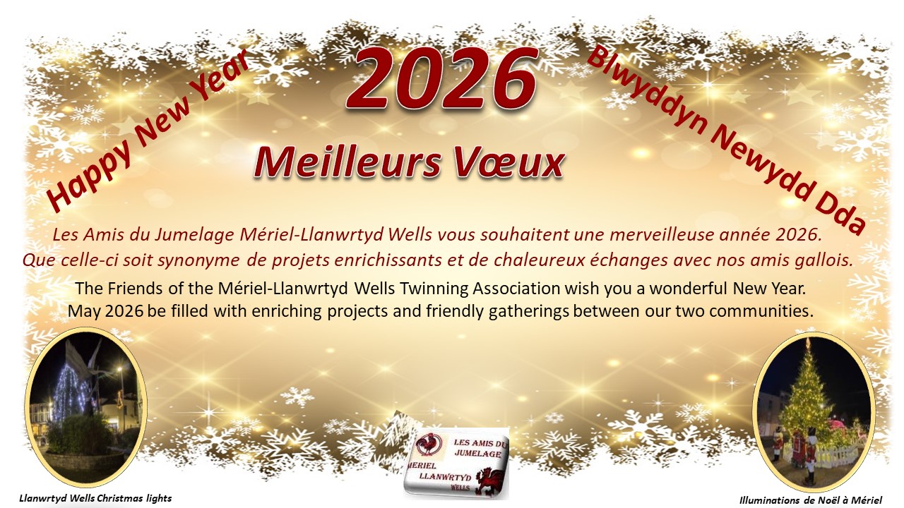 Meilleurs Vœux 2026